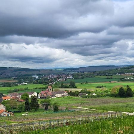Vila Le Coq De Champagne Dormans Exteriér fotografie