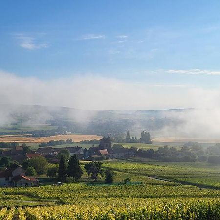 Vila Le Coq De Champagne Dormans Exteriér fotografie