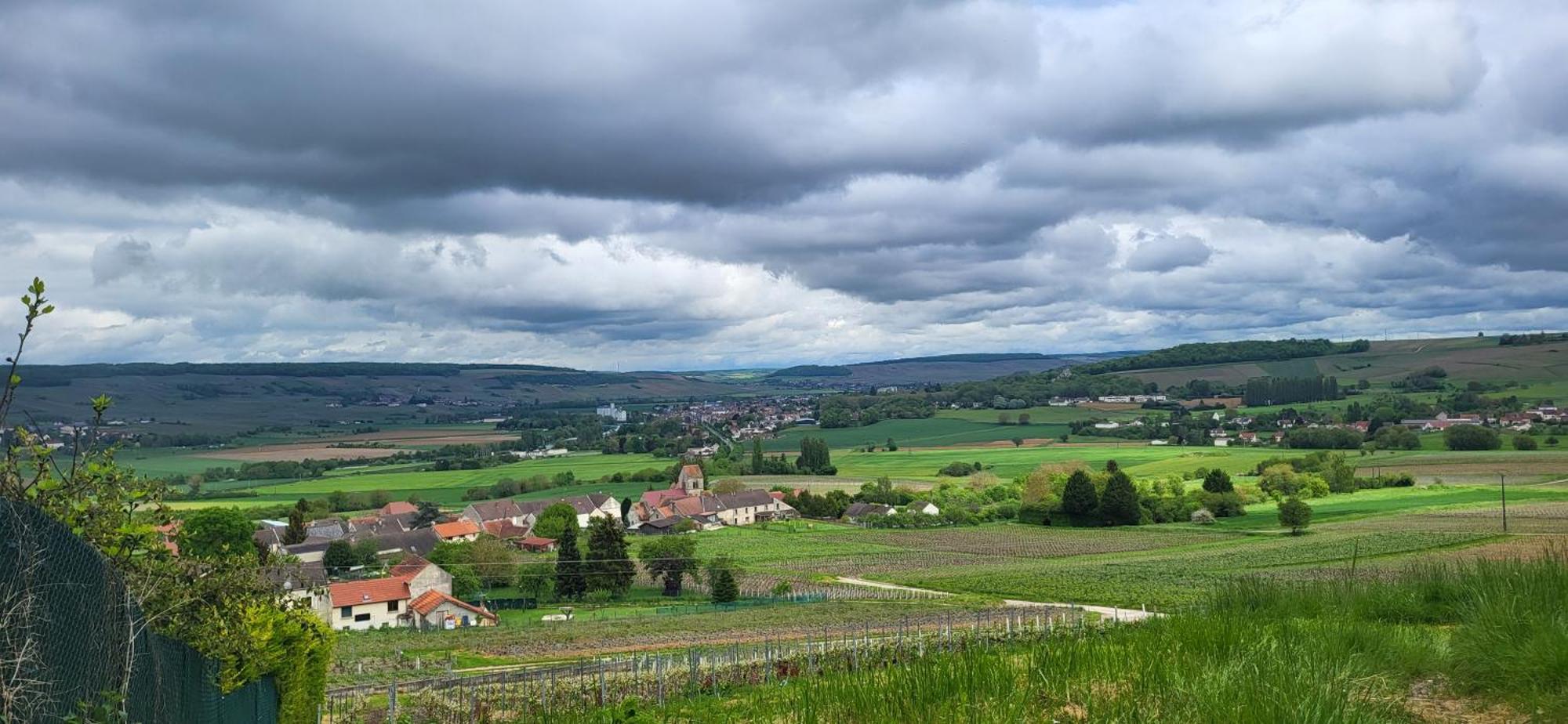 Vila Le Coq De Champagne Dormans Exteriér fotografie