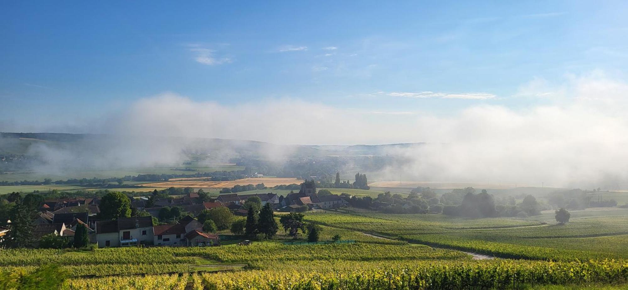 Vila Le Coq De Champagne Dormans Exteriér fotografie